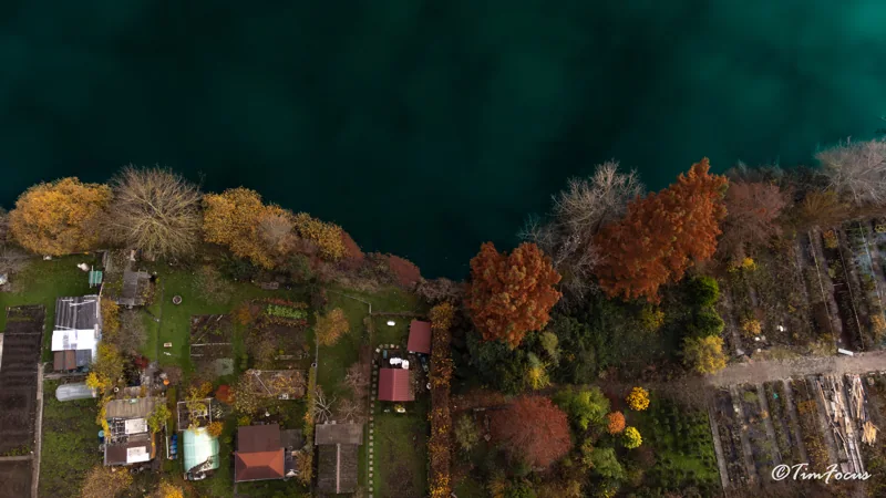 Vue aérienne d’un rivage et de ses arbres aux couleurs d’automne